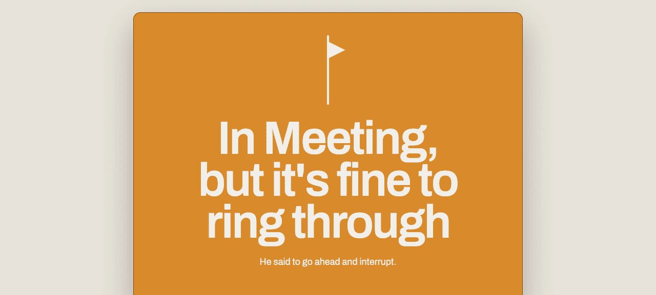 Meeting Pulse private viewer showing that a call is okay
